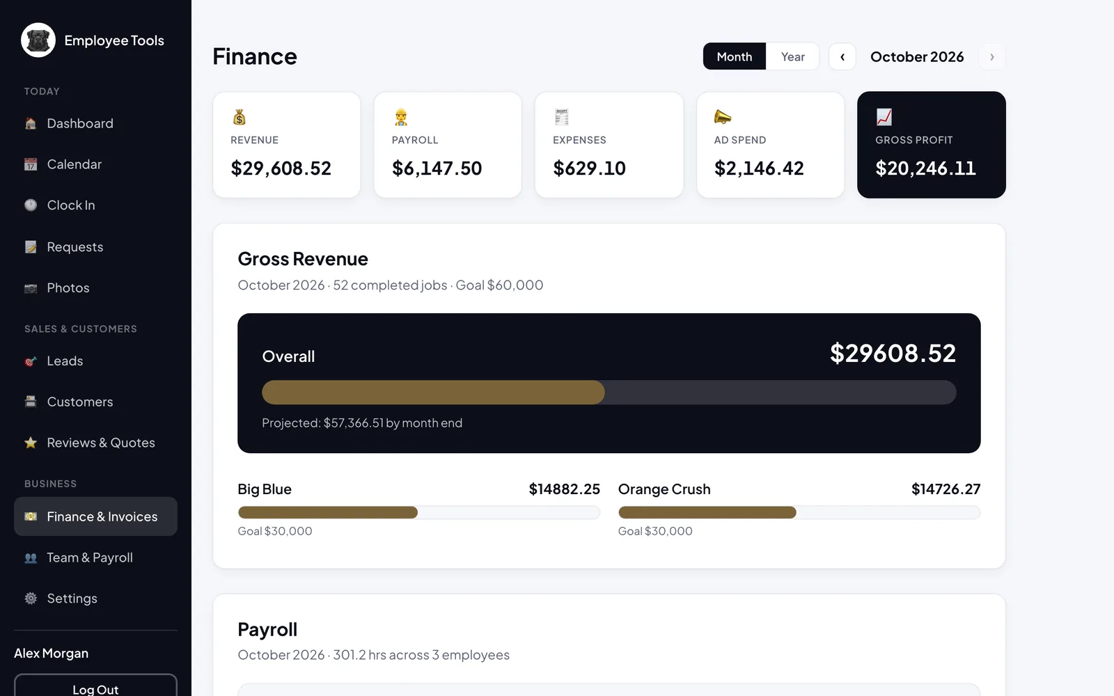 Finance page with revenue, payroll, expenses, ad spend, and gross profit
